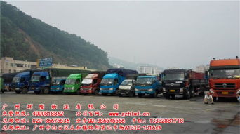 物流配送,行业内全国领先,佛山禅城广东东莞物流货运专线