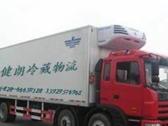 从广州到上海的专业冷链物流解决方案 冷藏运输与顺德专线服务